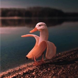 Meet your Posher, Christian